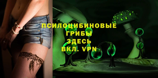 крисы Алексин