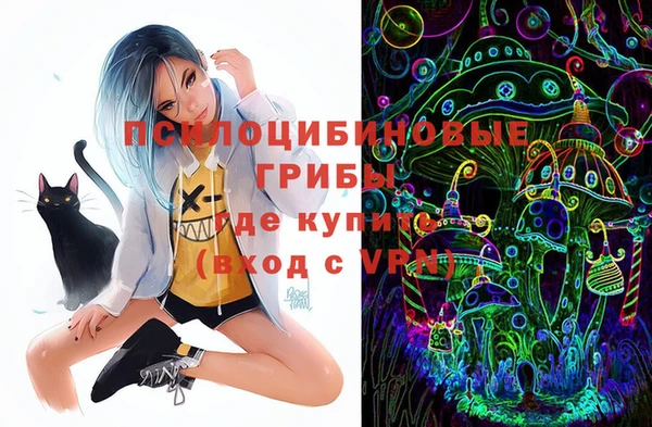 крисы Алексин
