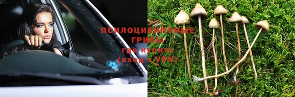 крисы Алексин