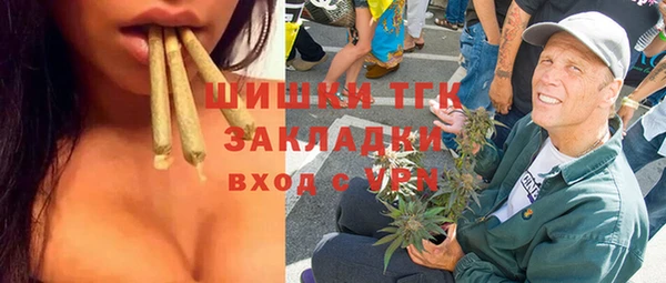 крисы Алексин