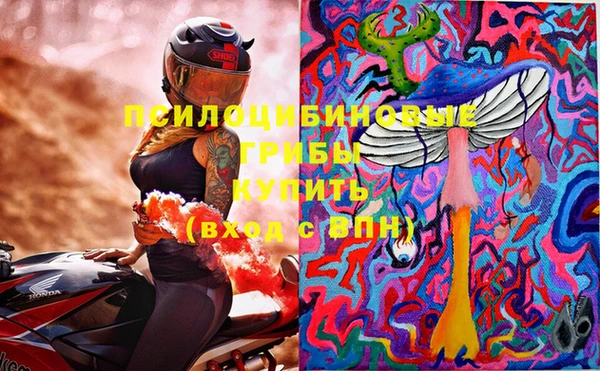 твердый Алзамай