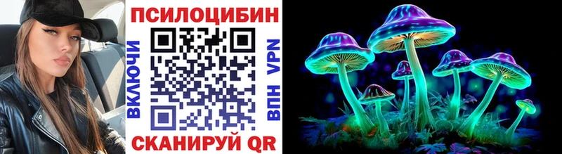 закладки  Коркино  мориарти какой сайт  Псилоцибиновые грибы Psilocybe 